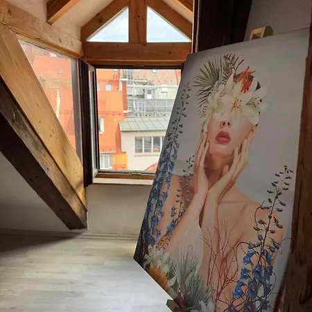 Helles Loft Mit Charme Villingen-Schwenningen